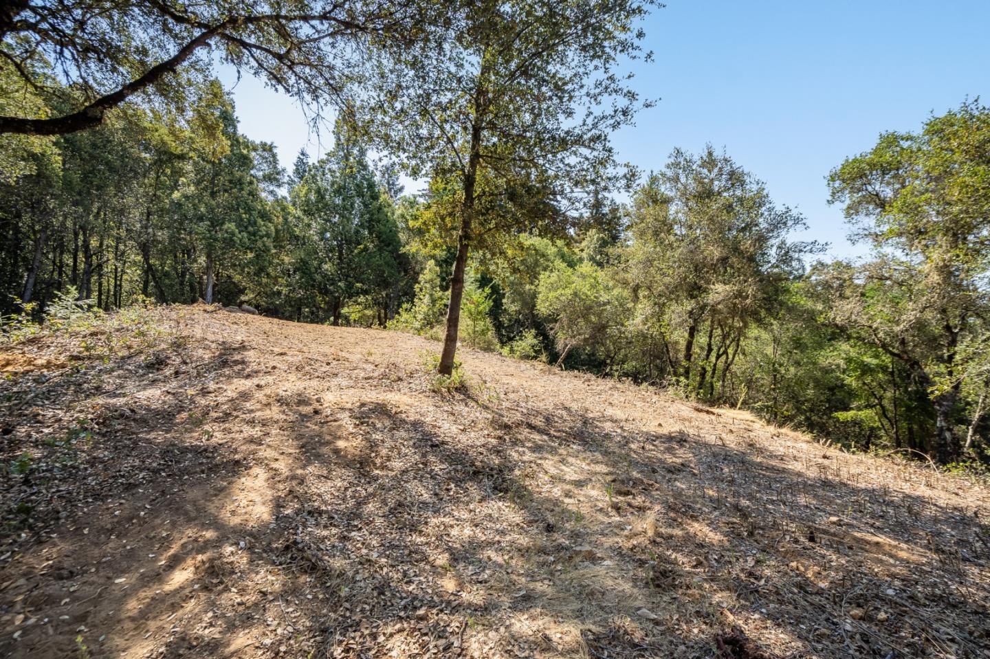 00 Felton Empire Road, SANTA CRUZ, California 95060, ,Lots And Land,For Sale,Felton Empire Road,40965445