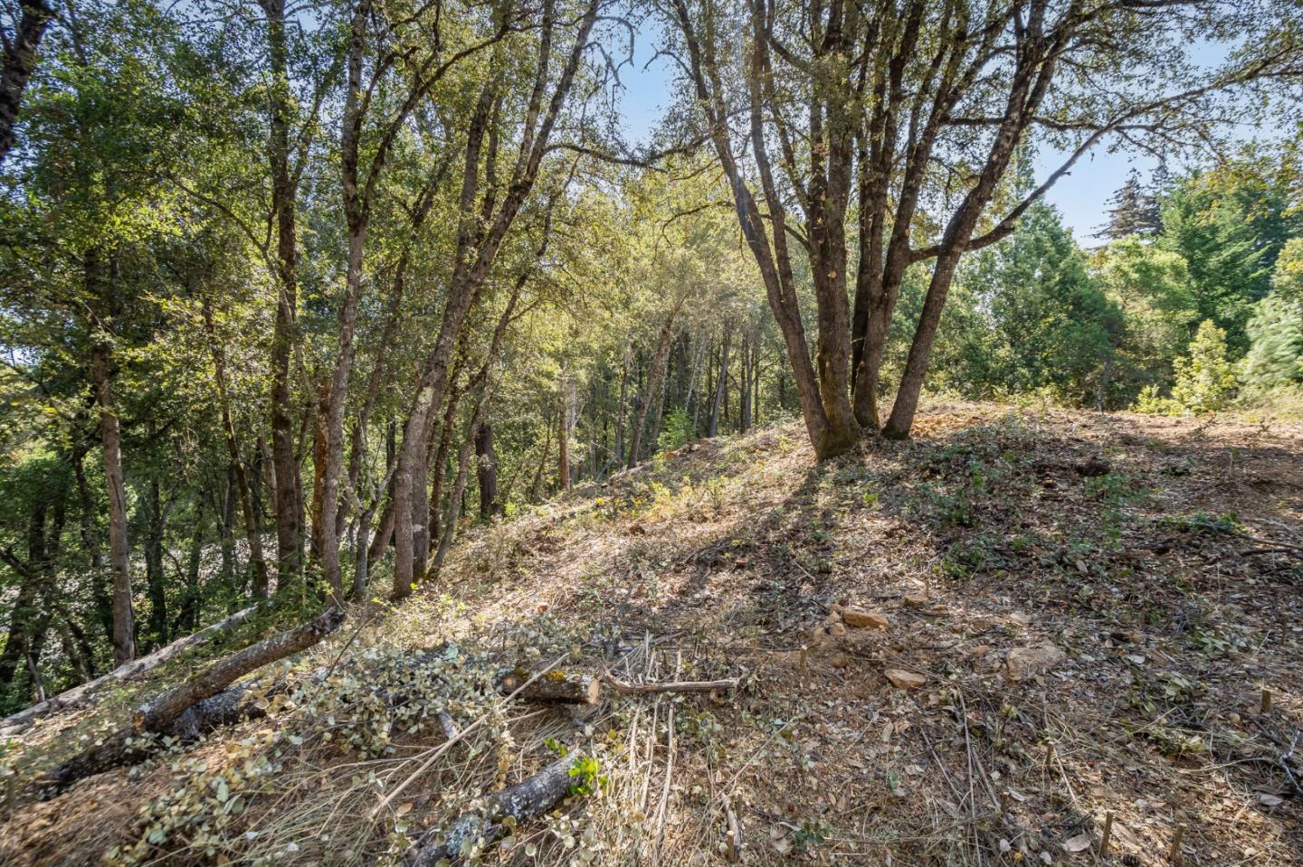00 Felton Empire Road, SANTA CRUZ, California 95060, ,Lots And Land,For Sale,Felton Empire Road,40965445