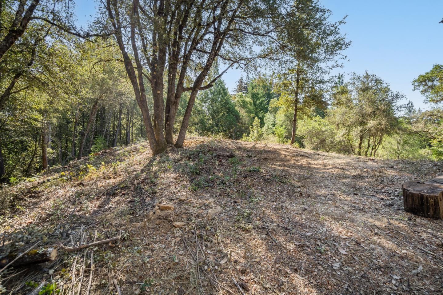 00 Felton Empire Road, SANTA CRUZ, California 95060, ,Lots And Land,For Sale,Felton Empire Road,40965445