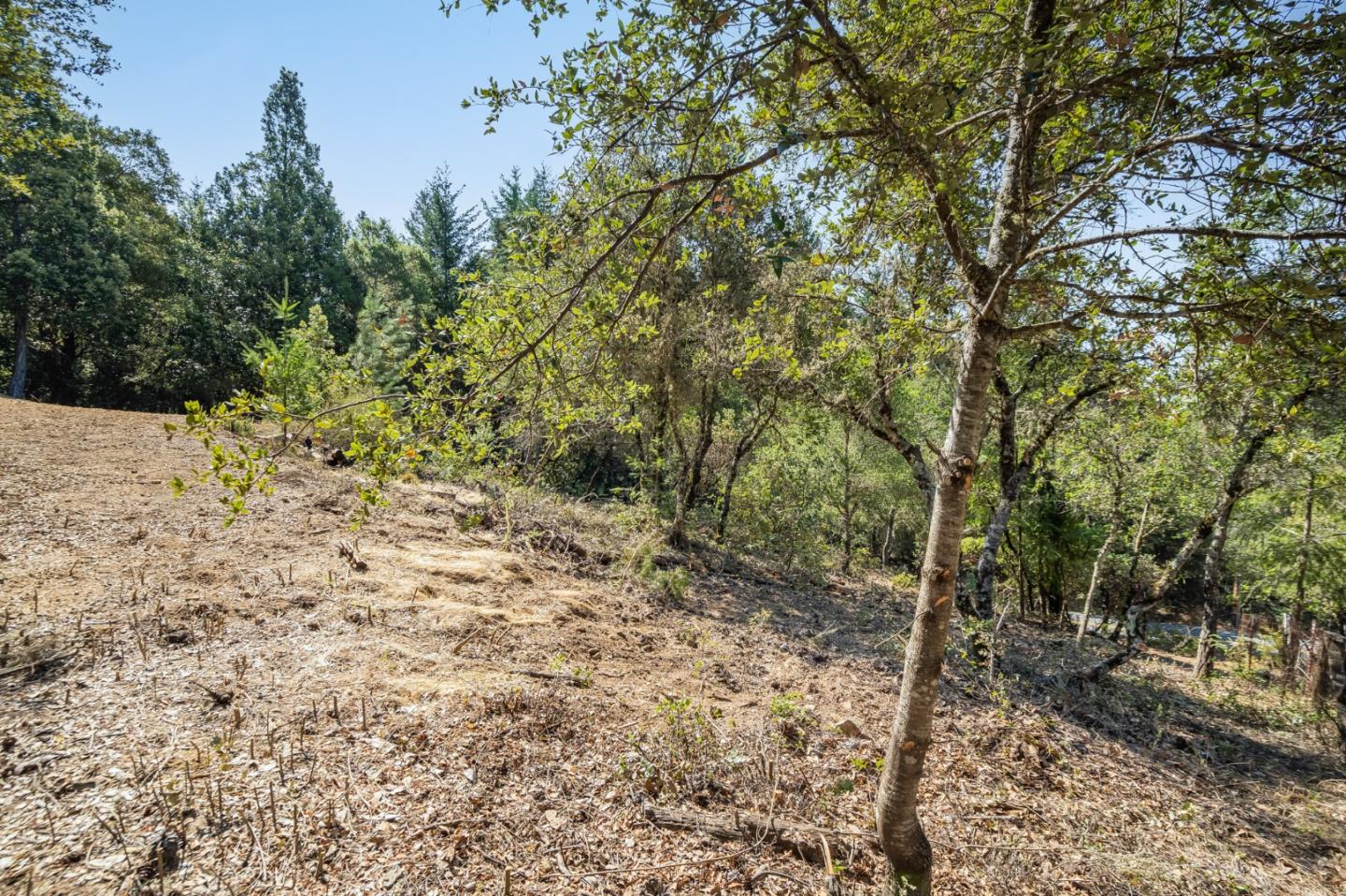 00 Felton Empire Road, SANTA CRUZ, California 95060, ,Lots And Land,For Sale,Felton Empire Road,40965445