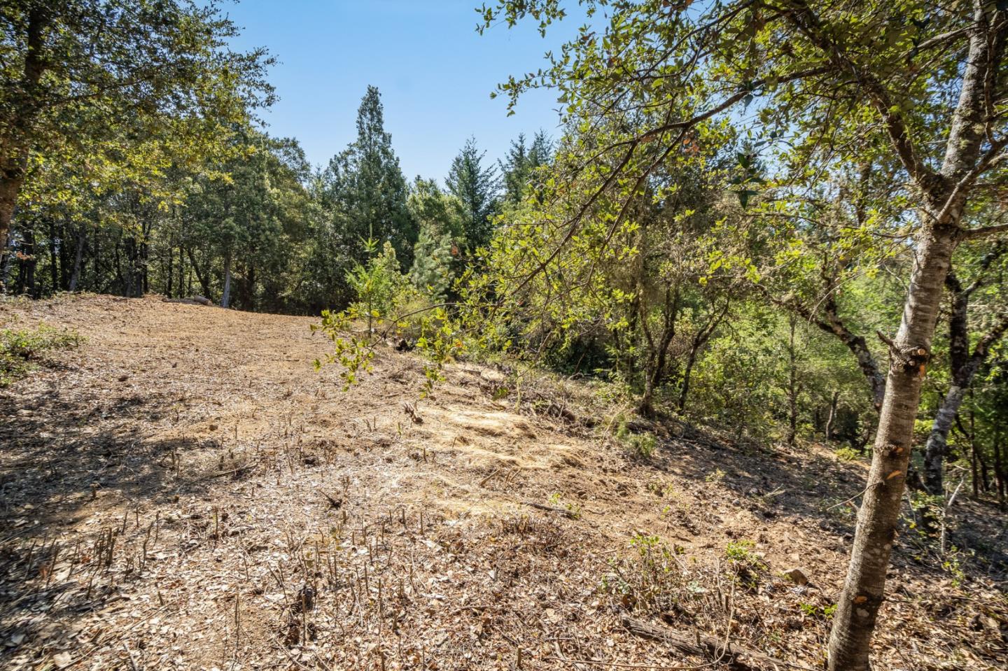00 Felton Empire Road, SANTA CRUZ, California 95060, ,Lots And Land,For Sale,Felton Empire Road,40965445