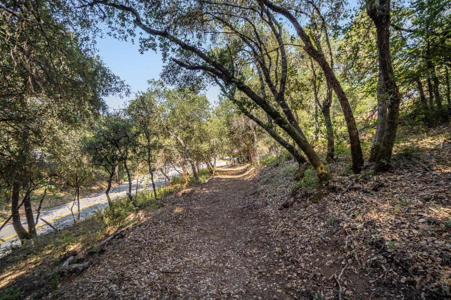 00 Felton Empire Road, SANTA CRUZ, California 95060, ,Lots And Land,For Sale,Felton Empire Road,40965445