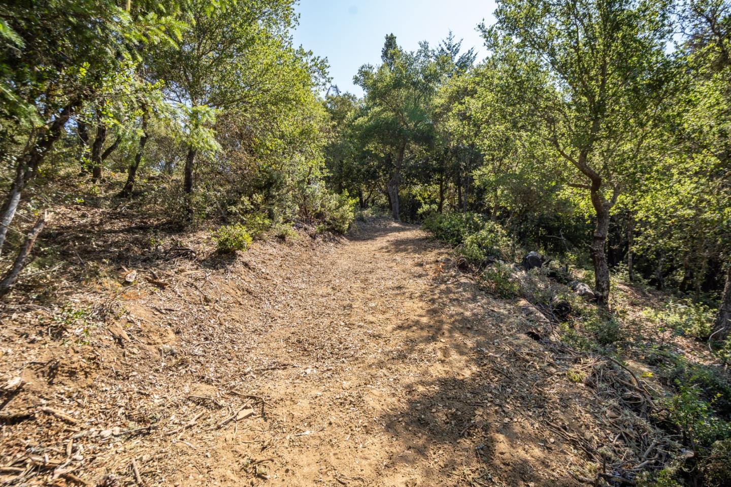 00 Felton Empire Road, SANTA CRUZ, California 95060, ,Lots And Land,For Sale,Felton Empire Road,40965445