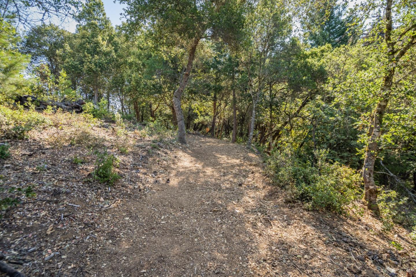 00 Felton Empire Road, SANTA CRUZ, California 95060, ,Lots And Land,For Sale,Felton Empire Road,40965445