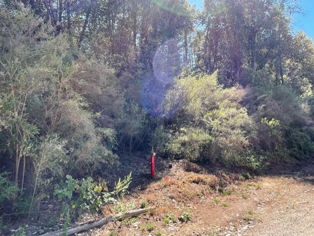 00 Felton Empire Road, SANTA CRUZ, California 95060, ,Lots And Land,For Sale,Felton Empire Road,40965445
