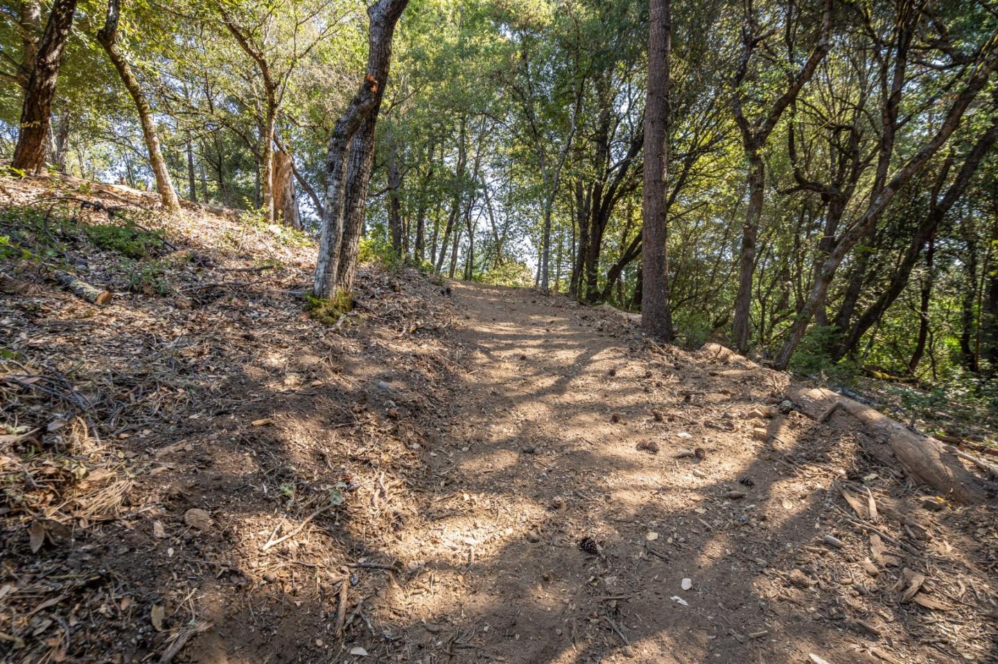 00 Felton Empire Road, SANTA CRUZ, California 95060, ,Lots And Land,For Sale,Felton Empire Road,40965445