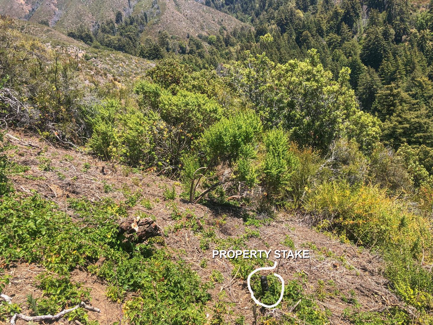 0 Garrapatos Road, CARMEL, California 93923, ,Lots And Land,For Sale,Garrapatos Road,40965460