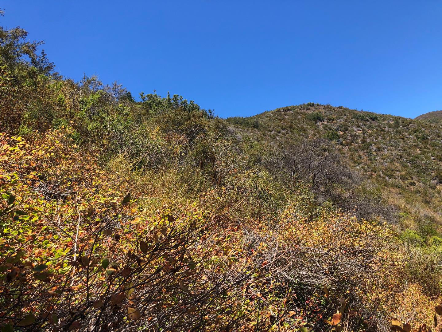 0 Garrapatos Road, CARMEL, California 93923, ,Lots And Land,For Sale,Garrapatos Road,40965460