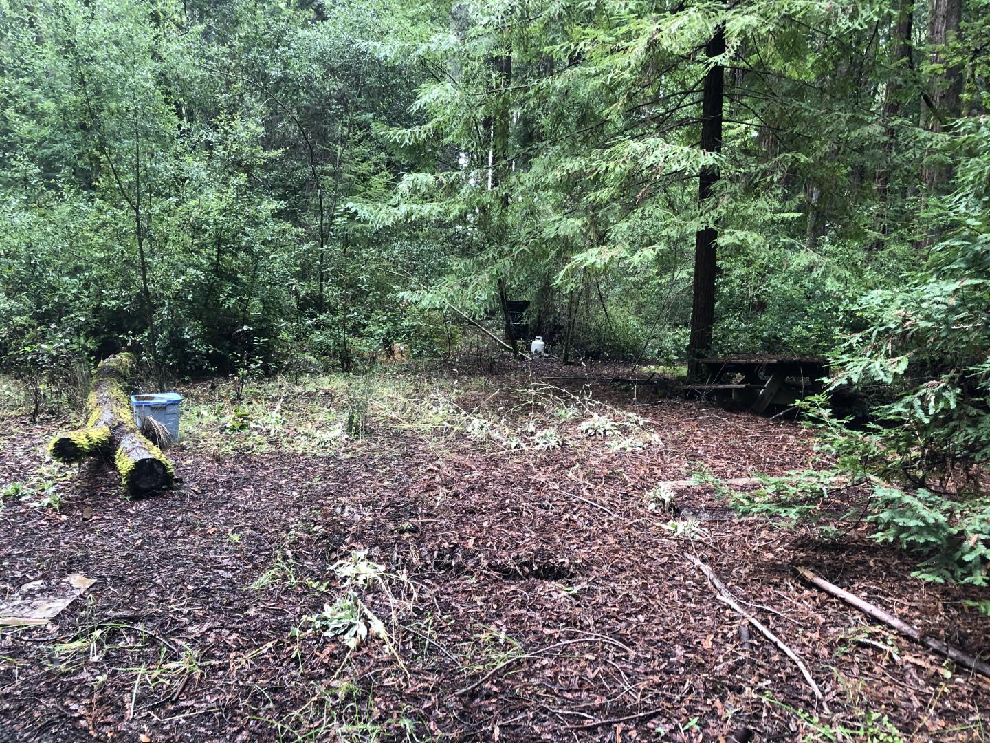 000 Slate Creek Road, LA HONDA, California 94020, ,Lots And Land,For Sale,Slate Creek Road,40965461