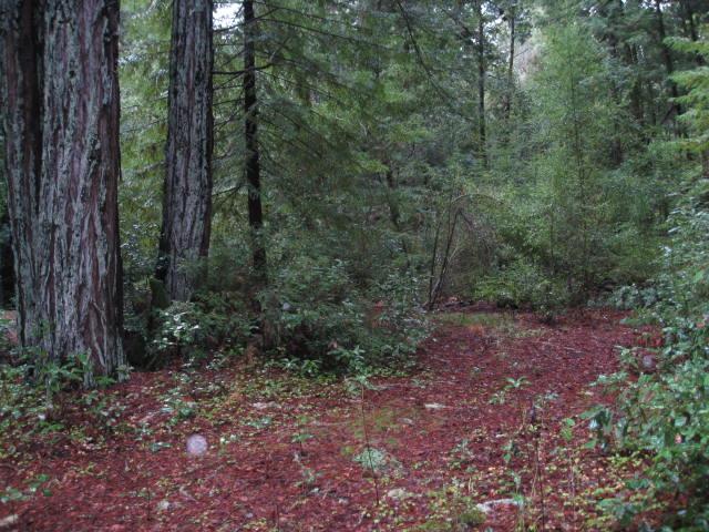 000 Slate Creek Road, LA HONDA, California 94020, ,Lots And Land,For Sale,Slate Creek Road,40965461