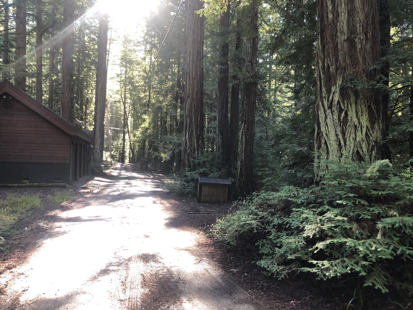000 Slate Creek Road, LA HONDA, California 94020, ,Lots And Land,For Sale,Slate Creek Road,40965461