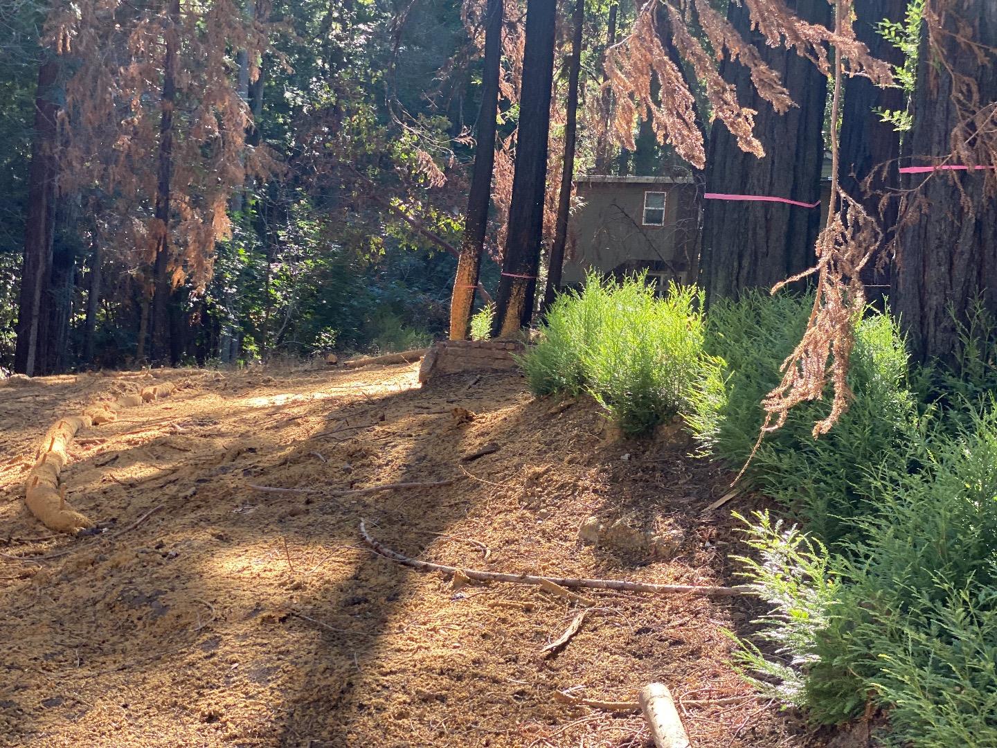 975 Creek Drive, BOULDER CREEK, California 95006, ,Lots And Land,For Sale,Creek Drive,40965483