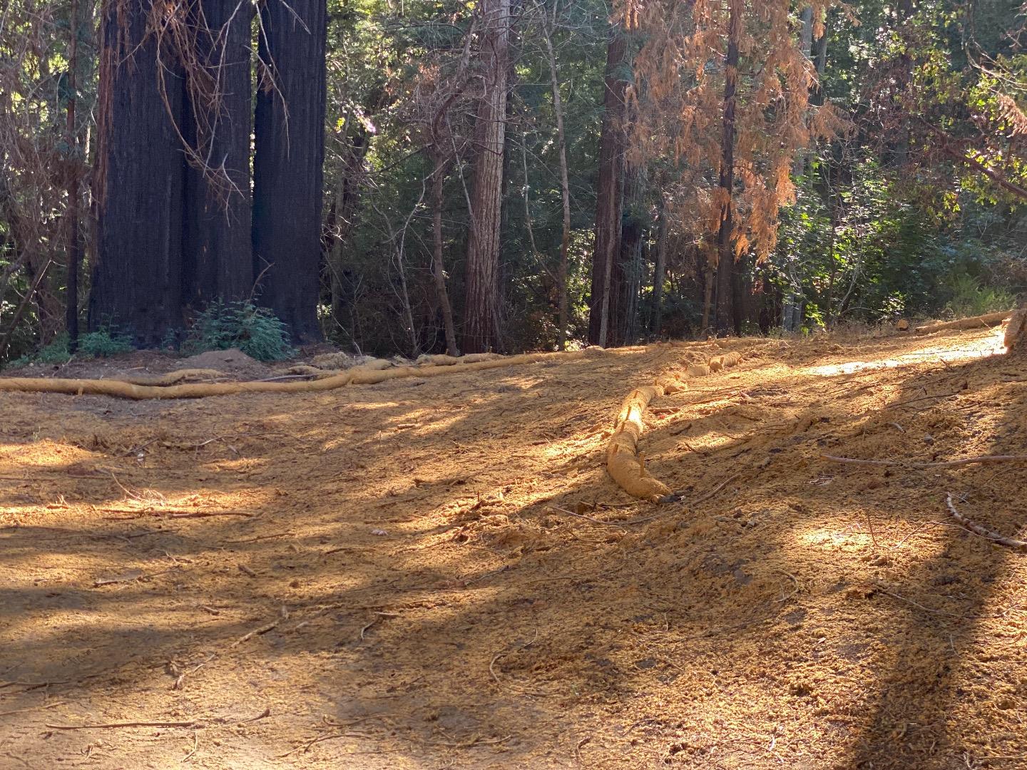 975 Creek Drive, BOULDER CREEK, California 95006, ,Lots And Land,For Sale,Creek Drive,40965483