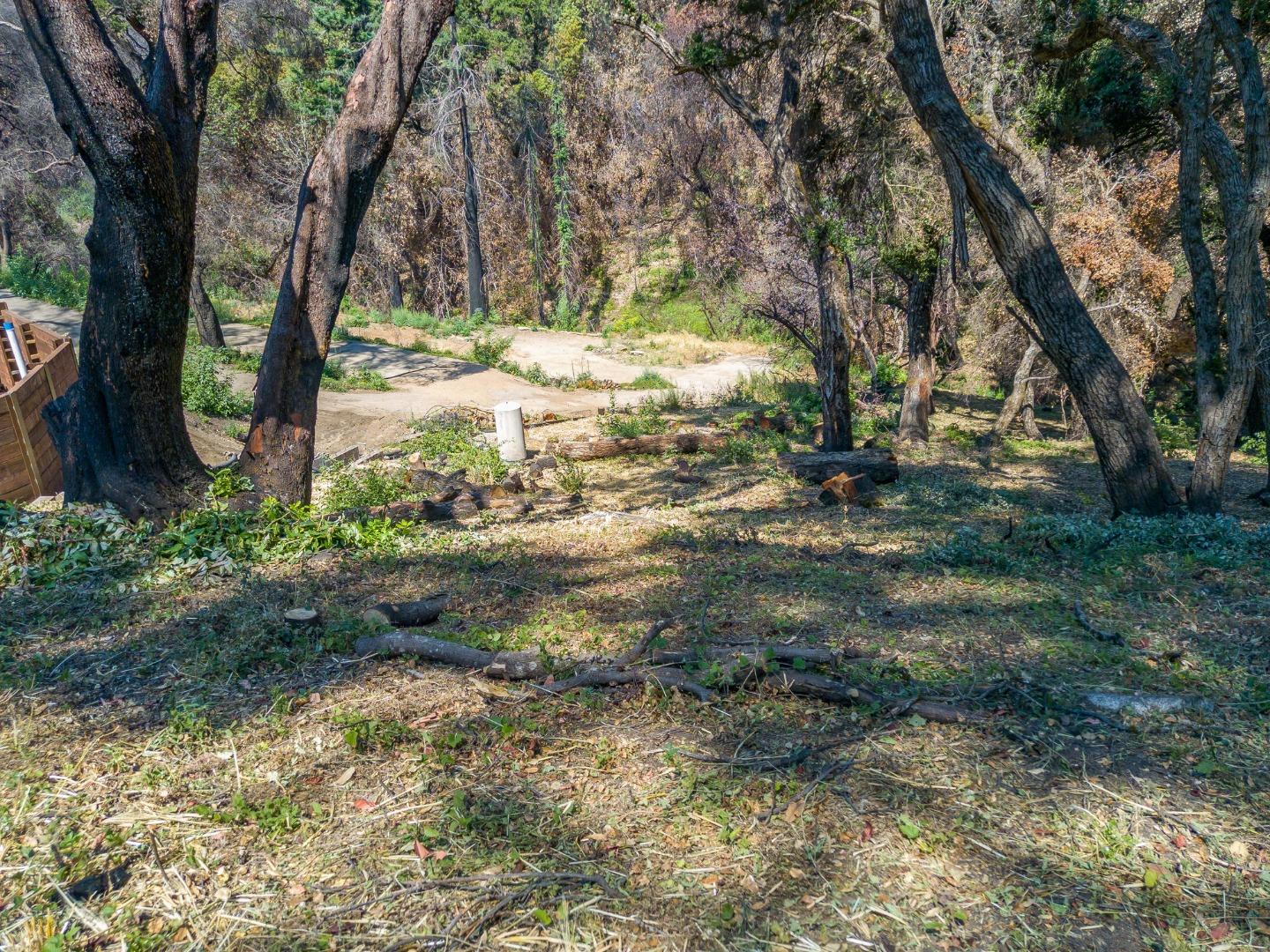 10851 Empire Grade, SANTA CRUZ, California 95060, ,Lots And Land,For Sale,Empire Grade,40965485