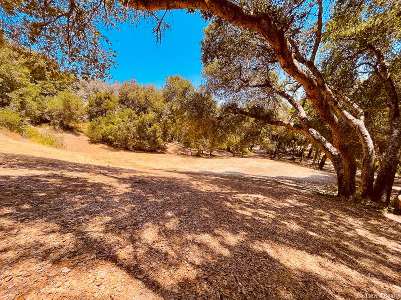 34160 Robinson Canyon Road, CARMEL, California 93923, ,Lots And Land,For Sale,Robinson Canyon Road,40965486