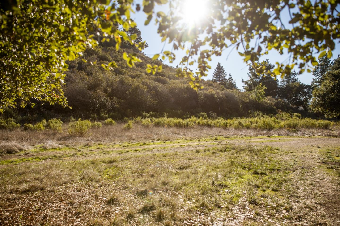 22 Tehama (Lot 37), CARMEL, California 93923, ,Lots And Land,For Sale,Tehama (Lot 37),40965515