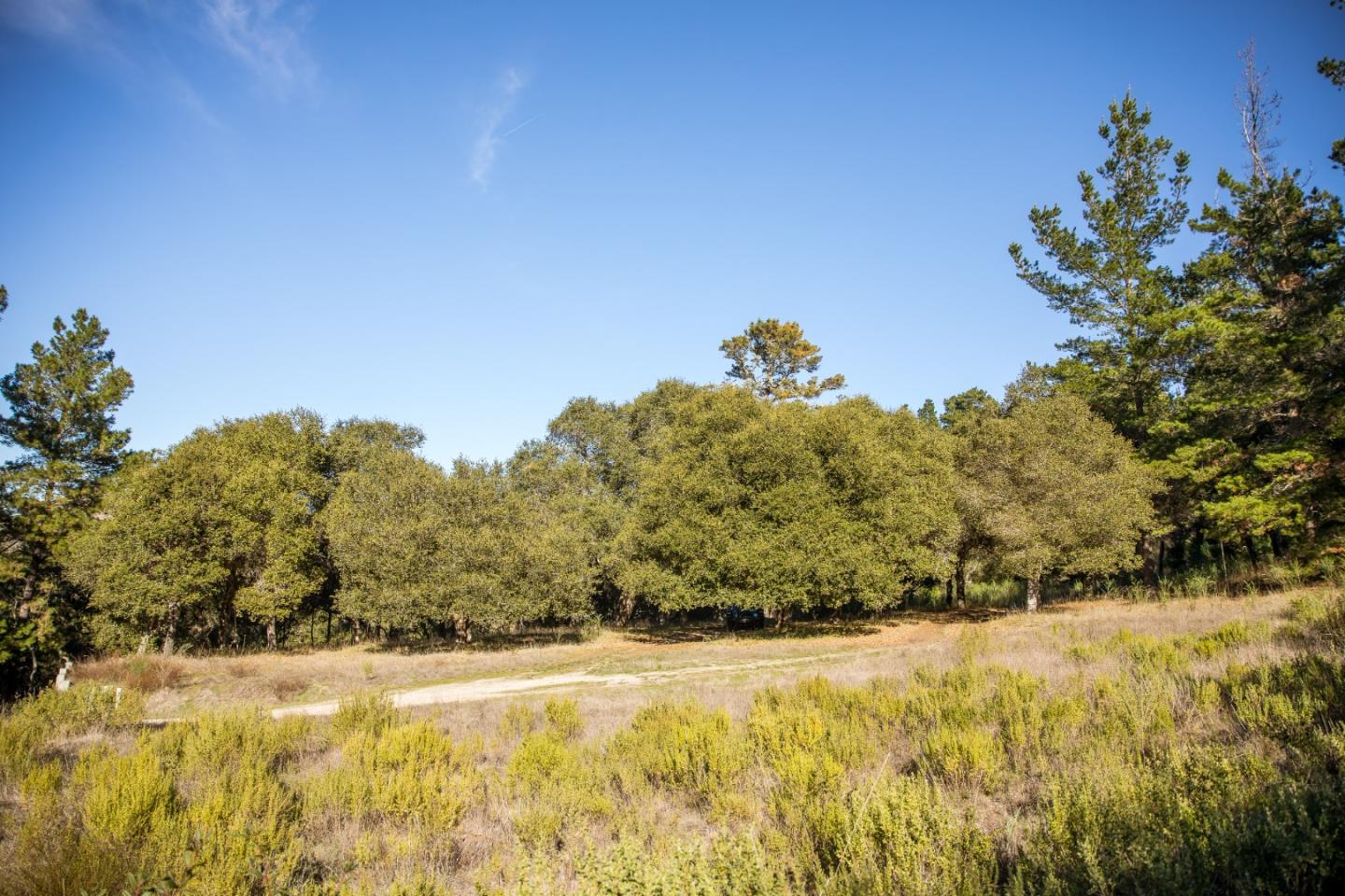 22 Tehama (Lot 37), CARMEL, California 93923, ,Lots And Land,For Sale,Tehama (Lot 37),40965515