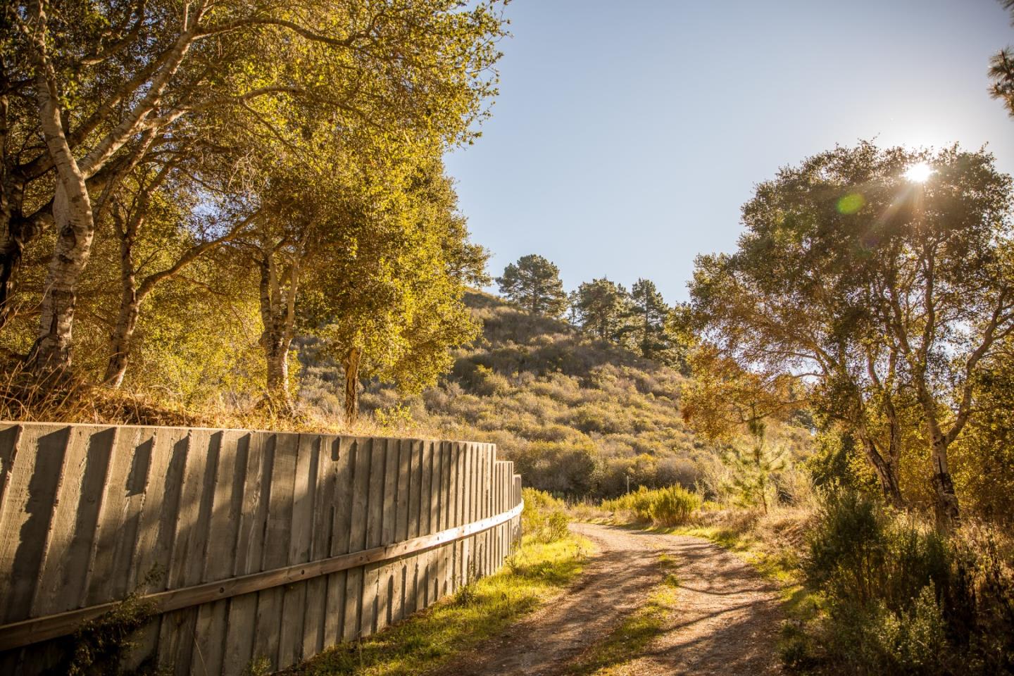 22 Tehama (Lot 37), CARMEL, California 93923, ,Lots And Land,For Sale,Tehama (Lot 37),40965515