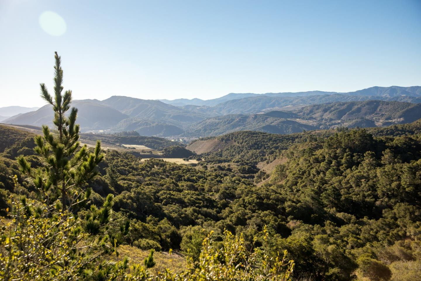 90 Linea de Fuego (Lot 63), CARMEL, California 93923, ,Lots And Land,For Sale,Linea de Fuego (Lot 63),40965519