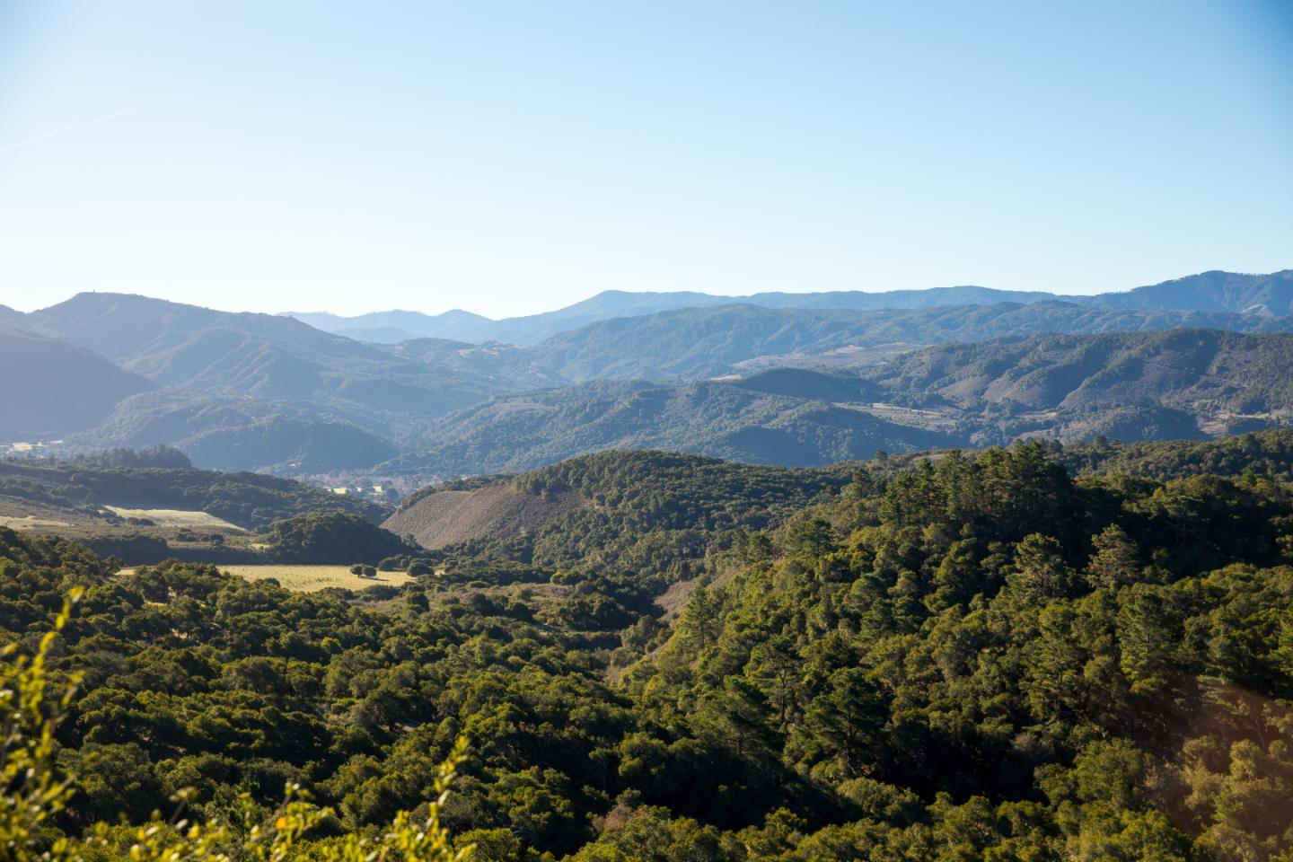 90 Linea de Fuego (Lot 63), CARMEL, California 93923, ,Lots And Land,For Sale,Linea de Fuego (Lot 63),40965519