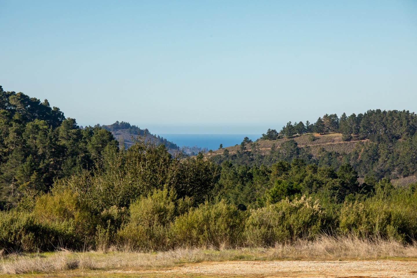 90 Linea de Fuego (Lot 63), CARMEL, California 93923, ,Lots And Land,For Sale,Linea de Fuego (Lot 63),40965519