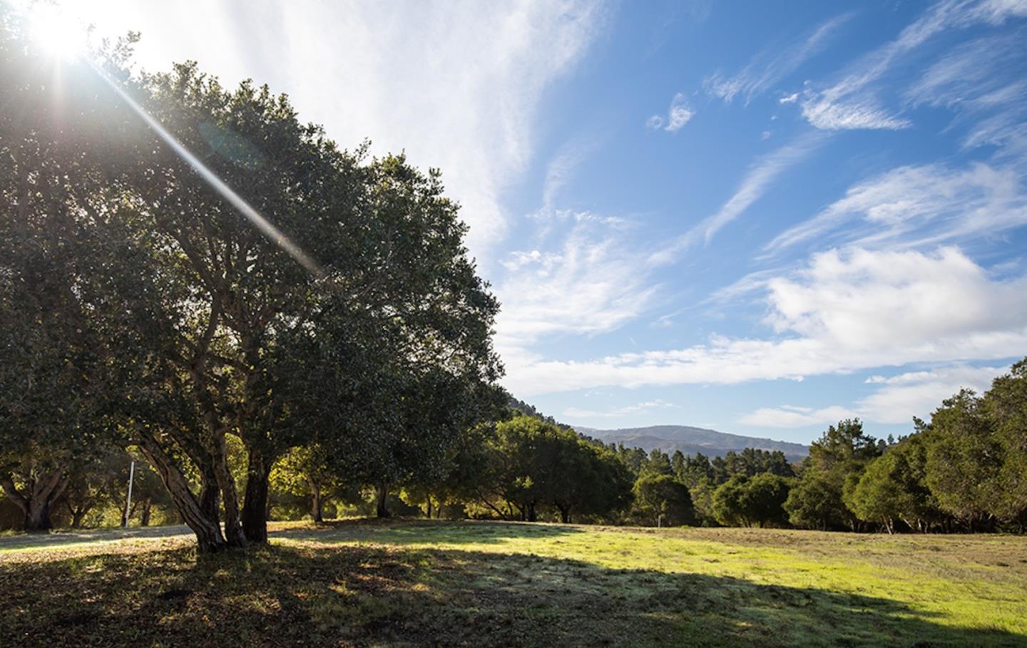 24 Tehama (Lot 10), CARMEL, California 93923, ,Lots And Land,For Sale,Tehama (Lot 10),40965518