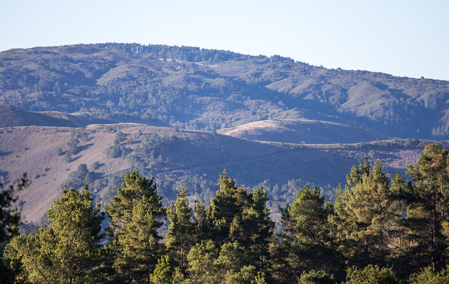 24 Tehama (Lot 10), CARMEL, California 93923, ,Lots And Land,For Sale,Tehama (Lot 10),40965518