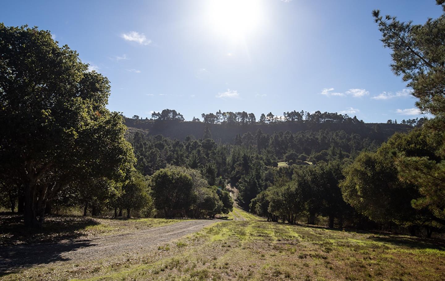 24 Tehama (Lot 10), CARMEL, California 93923, ,Lots And Land,For Sale,Tehama (Lot 10),40965518