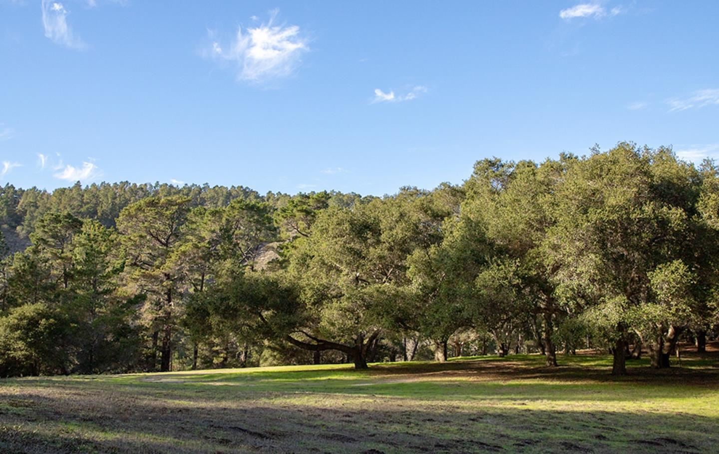 20 Tehama (Lot 38), CARMEL, California 93923, ,Lots And Land,For Sale,Tehama (Lot 38),40965520