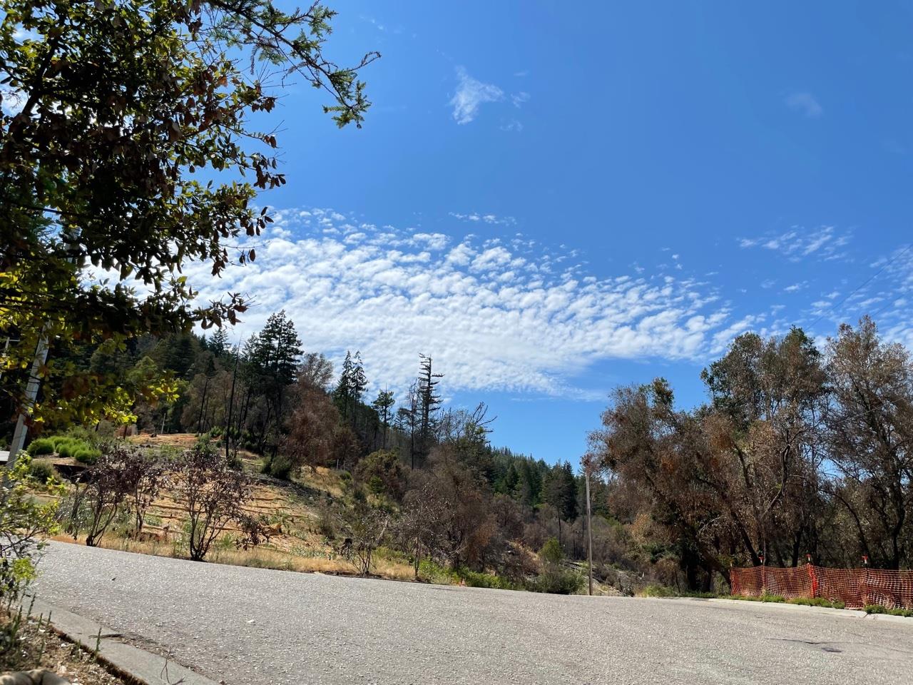 135 Fallen Leaf Drive, BOULDER CREEK, California 95006, ,Lots And Land,For Sale,Fallen Leaf Drive,40965529