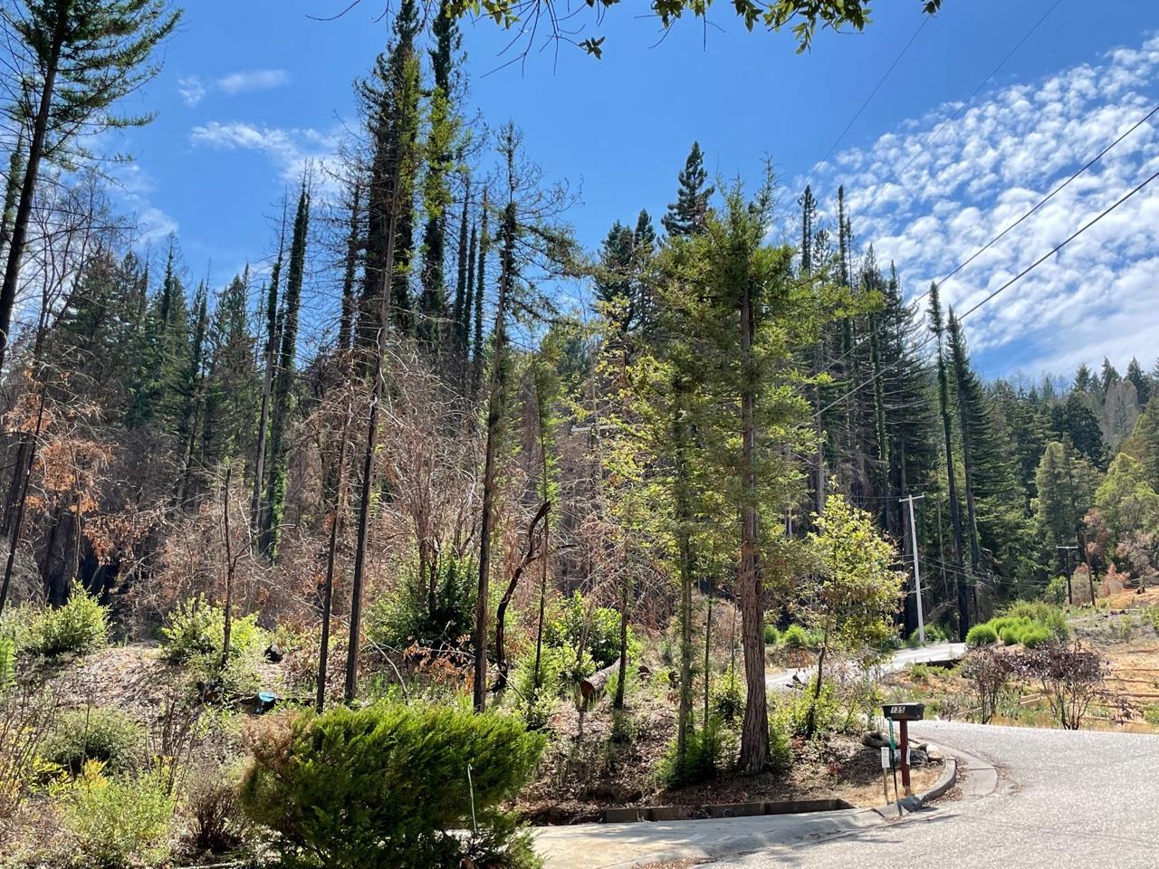 135 Fallen Leaf Drive, BOULDER CREEK, California 95006, ,Lots And Land,For Sale,Fallen Leaf Drive,40965529