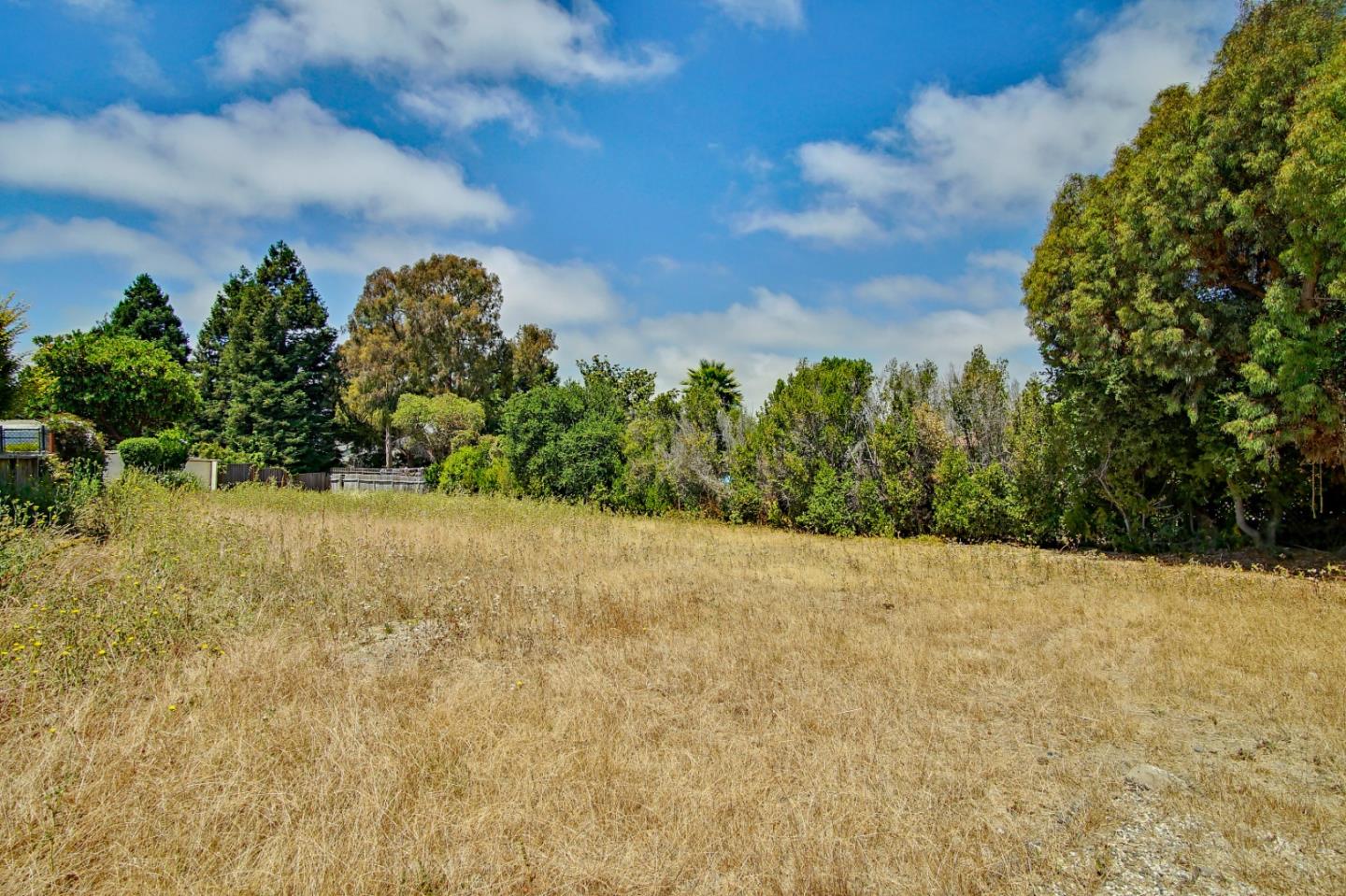 20 Longview Drive, WATSONVILLE, California 95076, ,Lots And Land,For Sale,Longview Drive,40965538