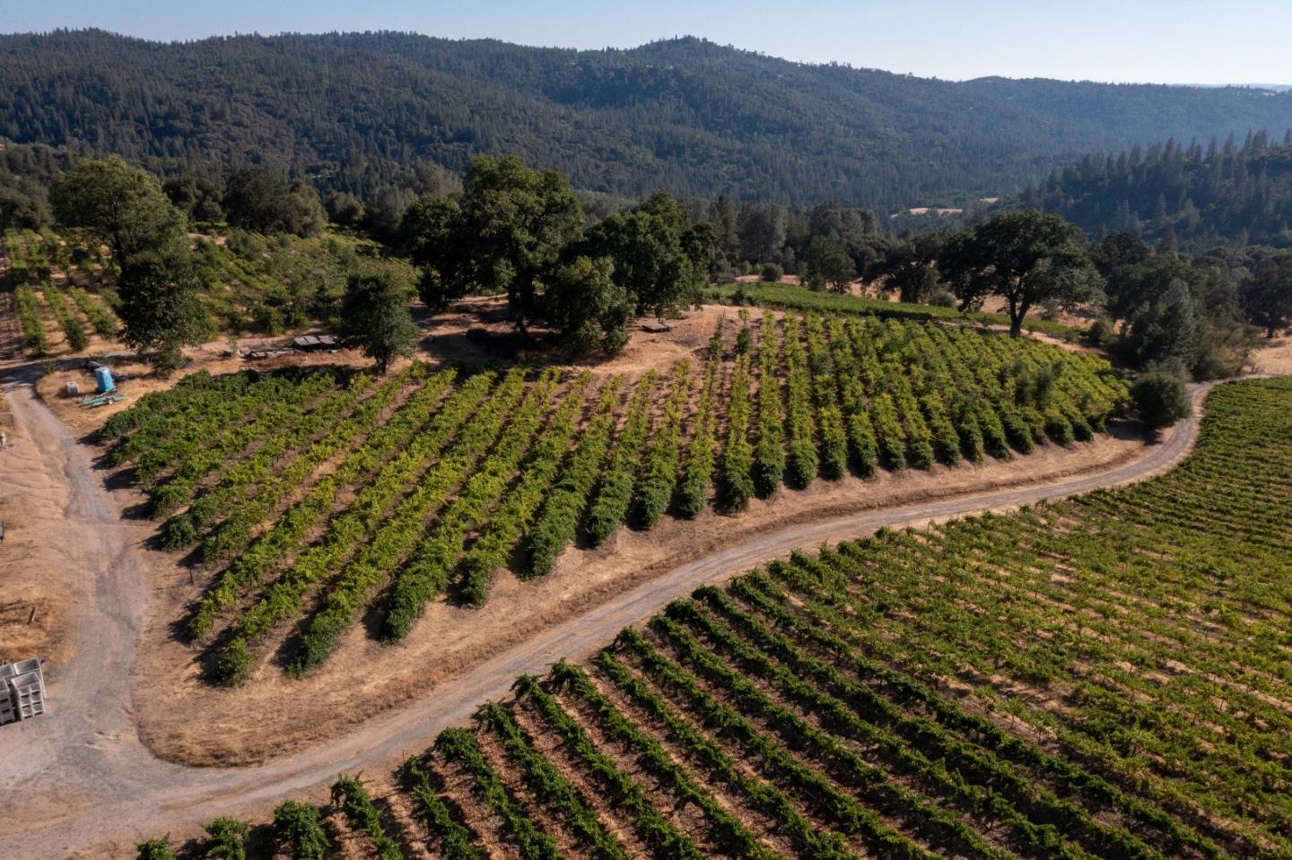 5200 Butte Creek Road, SOMERSET, California 95684, ,Lots And Land,For Sale,Butte Creek Road,40970962