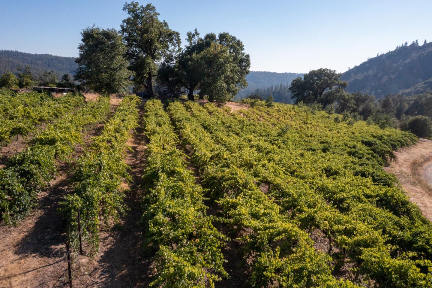 5200 Butte Creek Road, SOMERSET, California 95684, ,Lots And Land,For Sale,Butte Creek Road,40970962