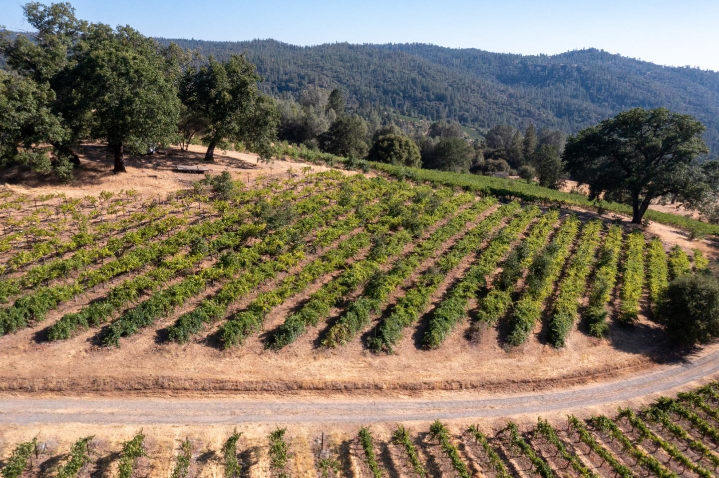5200 Butte Creek Road, SOMERSET, California 95684, ,Lots And Land,For Sale,Butte Creek Road,40970962