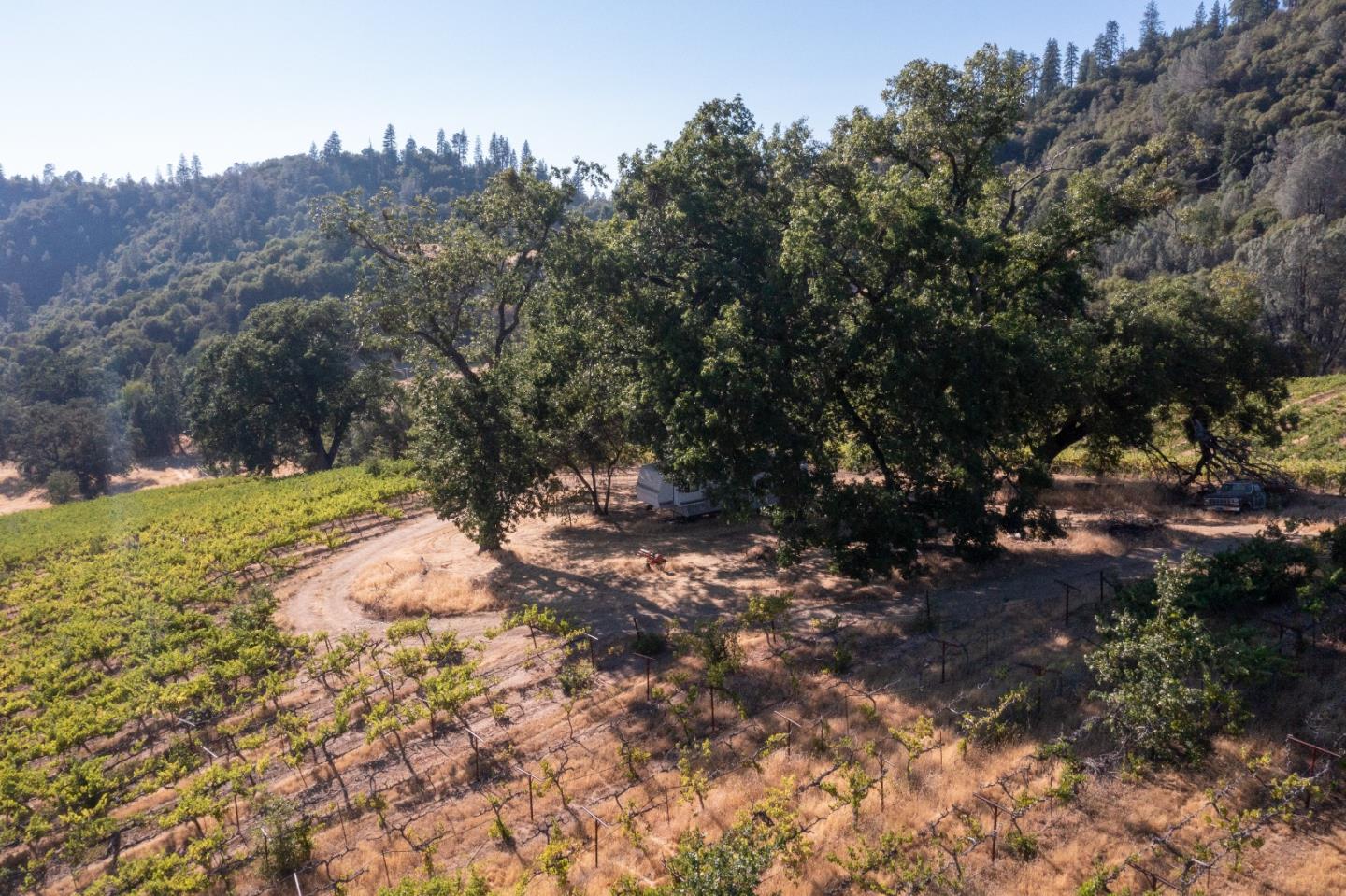5200 Butte Creek Road, SOMERSET, California 95684, ,Lots And Land,For Sale,Butte Creek Road,40970962