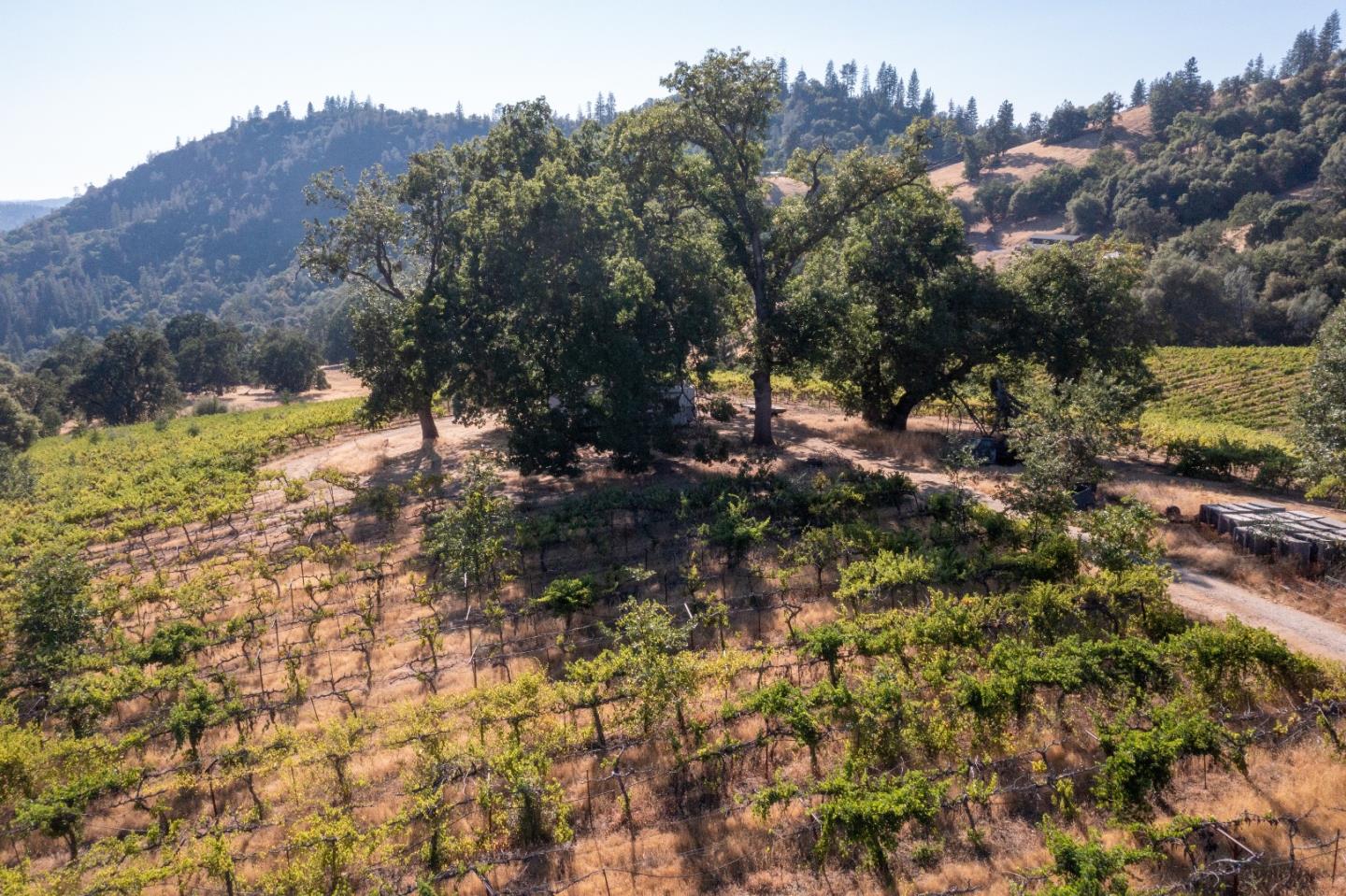 5200 Butte Creek Road, SOMERSET, California 95684, ,Lots And Land,For Sale,Butte Creek Road,40970962