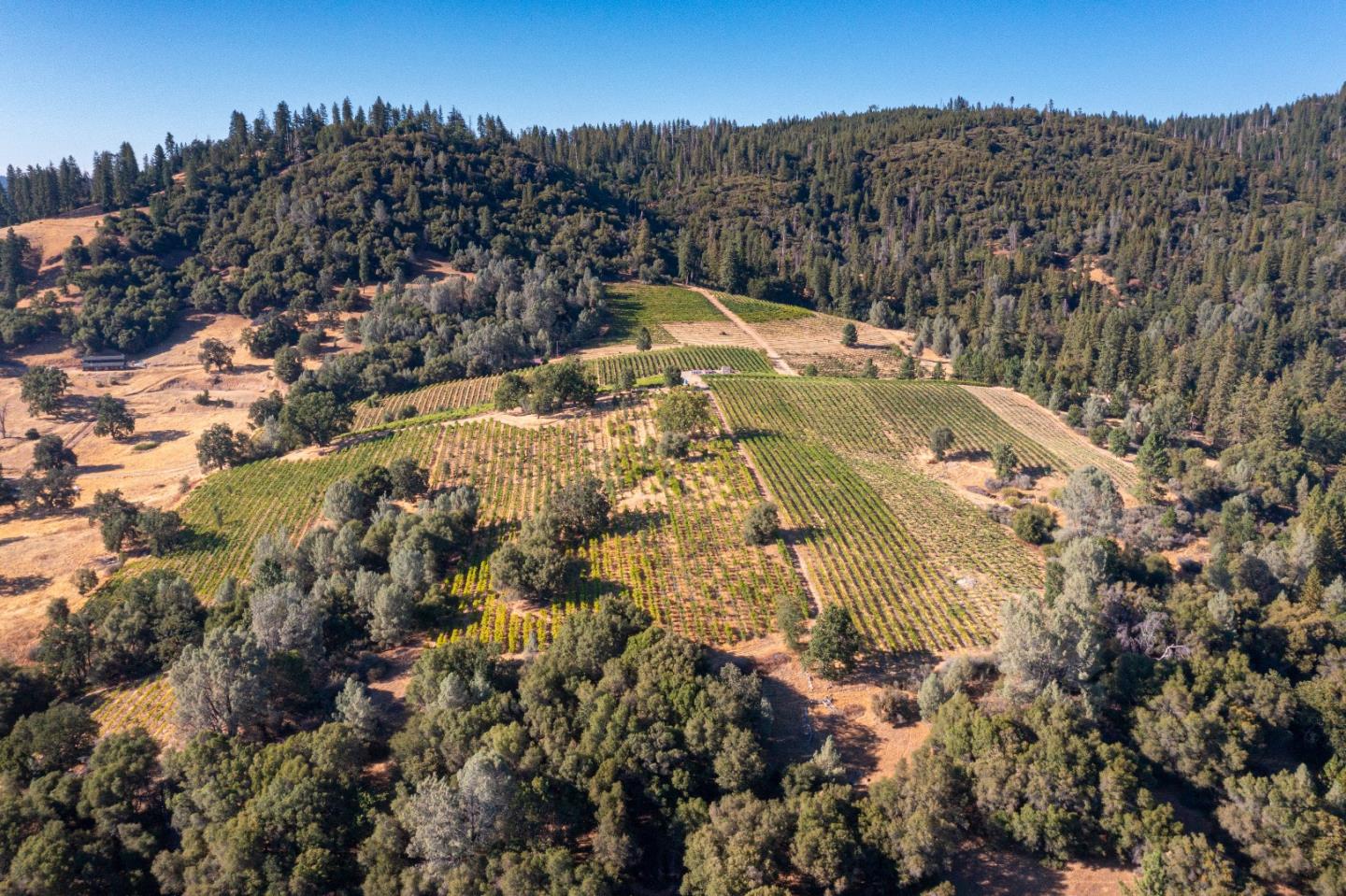 5200 Butte Creek Road, SOMERSET, California 95684, ,Lots And Land,For Sale,Butte Creek Road,40970962