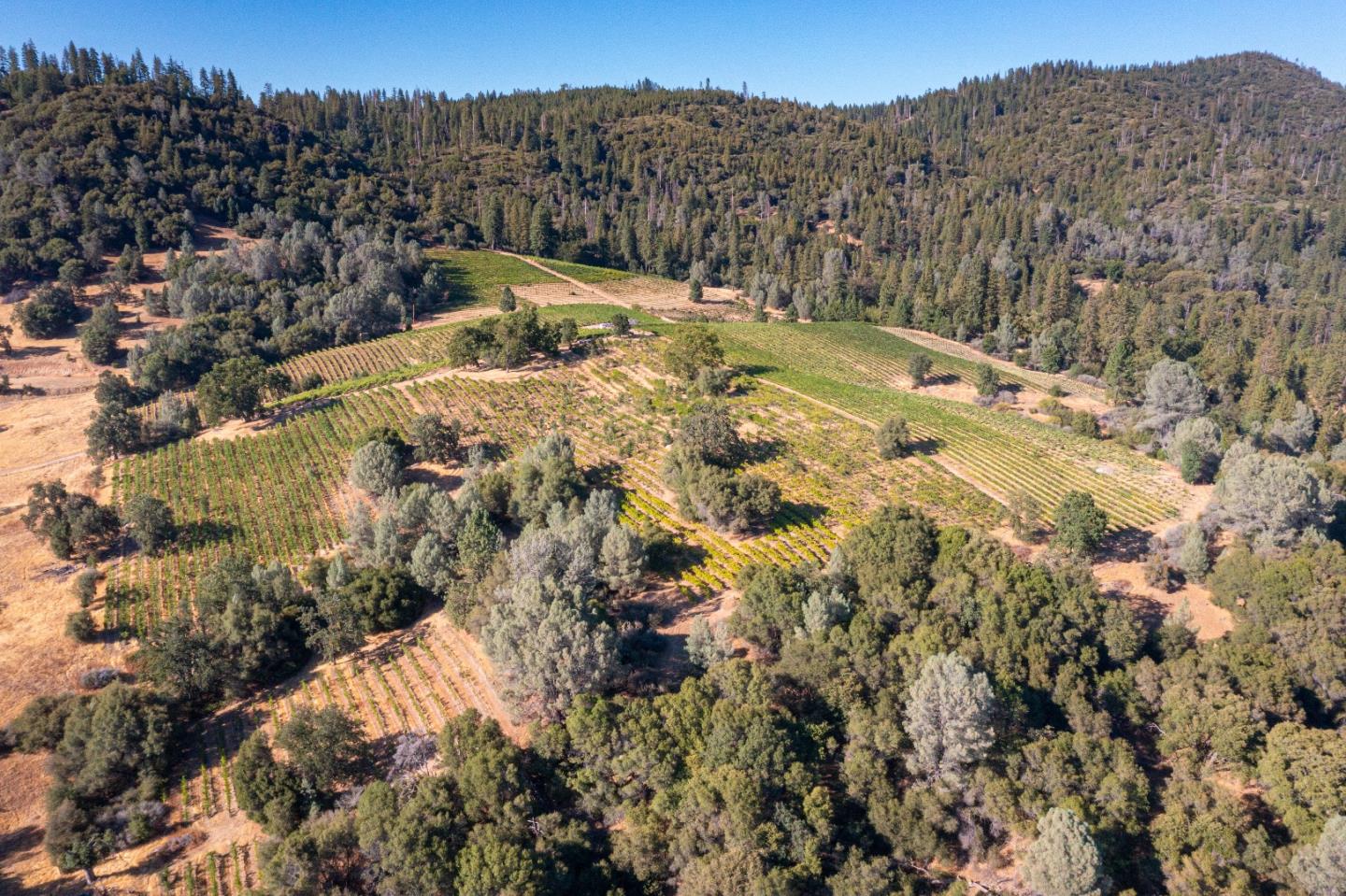 5200 Butte Creek Road, SOMERSET, California 95684, ,Lots And Land,For Sale,Butte Creek Road,40970962