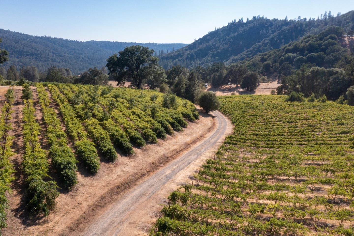 5200 Butte Creek Road, SOMERSET, California 95684, ,Lots And Land,For Sale,Butte Creek Road,40970962