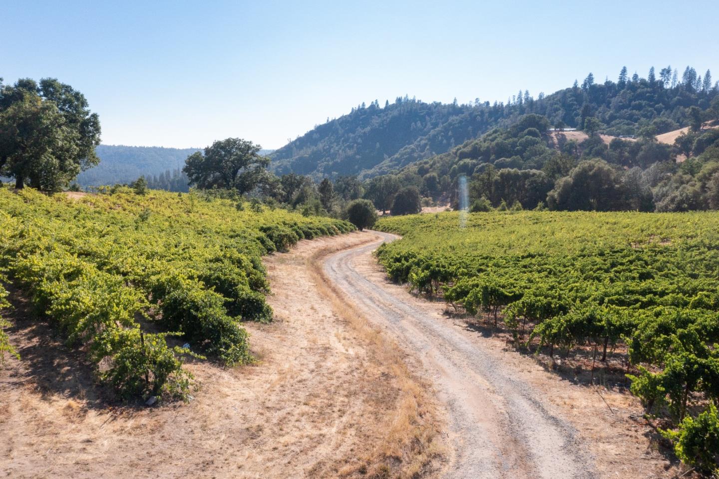5200 Butte Creek Road, SOMERSET, California 95684, ,Lots And Land,For Sale,Butte Creek Road,40970962