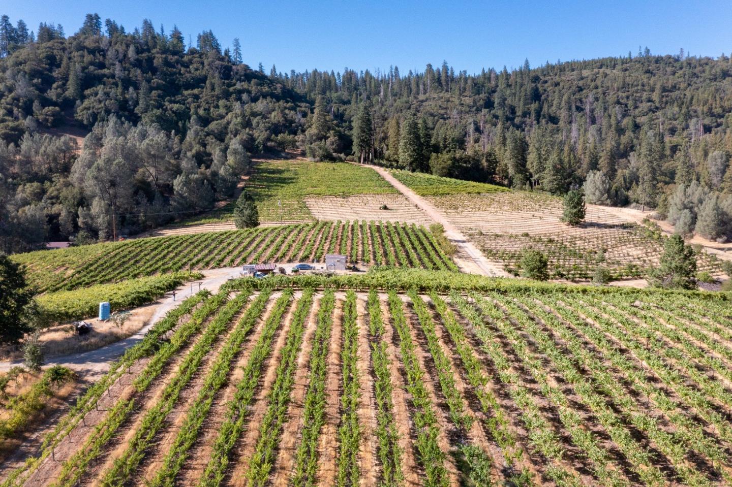 5200 Butte Creek Road, SOMERSET, California 95684, ,Lots And Land,For Sale,Butte Creek Road,40970962