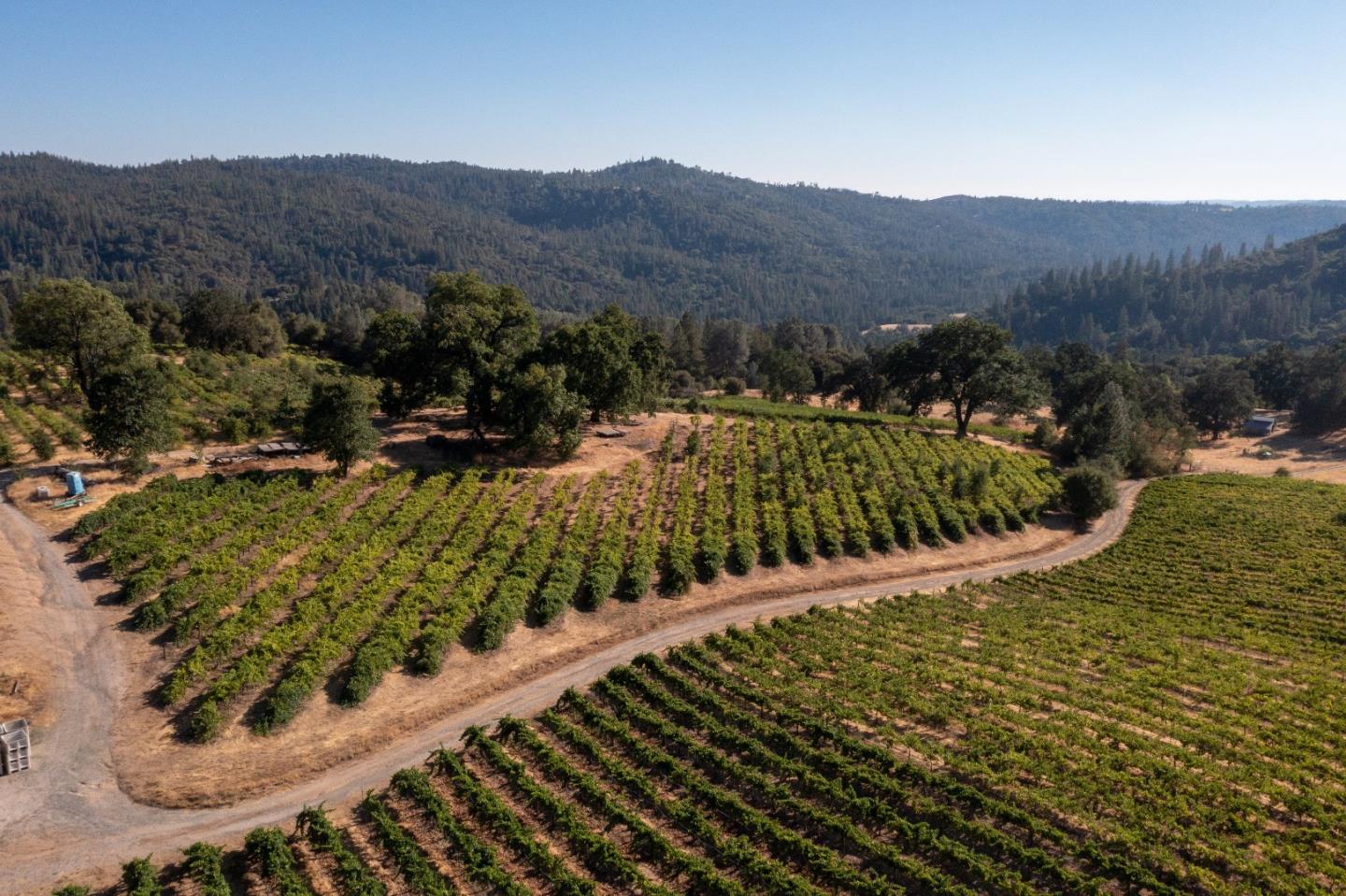 5200 Butte Creek Road, SOMERSET, California 95684, ,Lots And Land,For Sale,Butte Creek Road,40970962