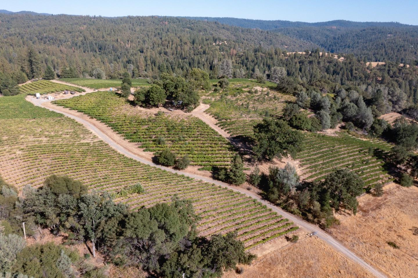 5200 Butte Creek Road, SOMERSET, California 95684, ,Lots And Land,For Sale,Butte Creek Road,40970962