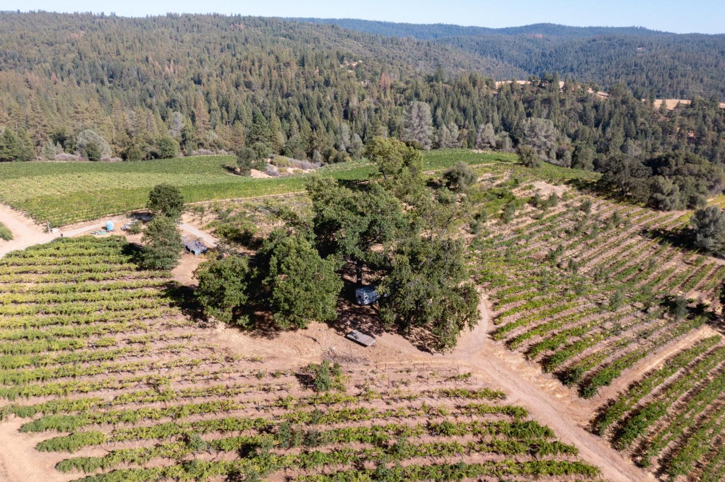 5200 Butte Creek Road, SOMERSET, California 95684, ,Lots And Land,For Sale,Butte Creek Road,40970962