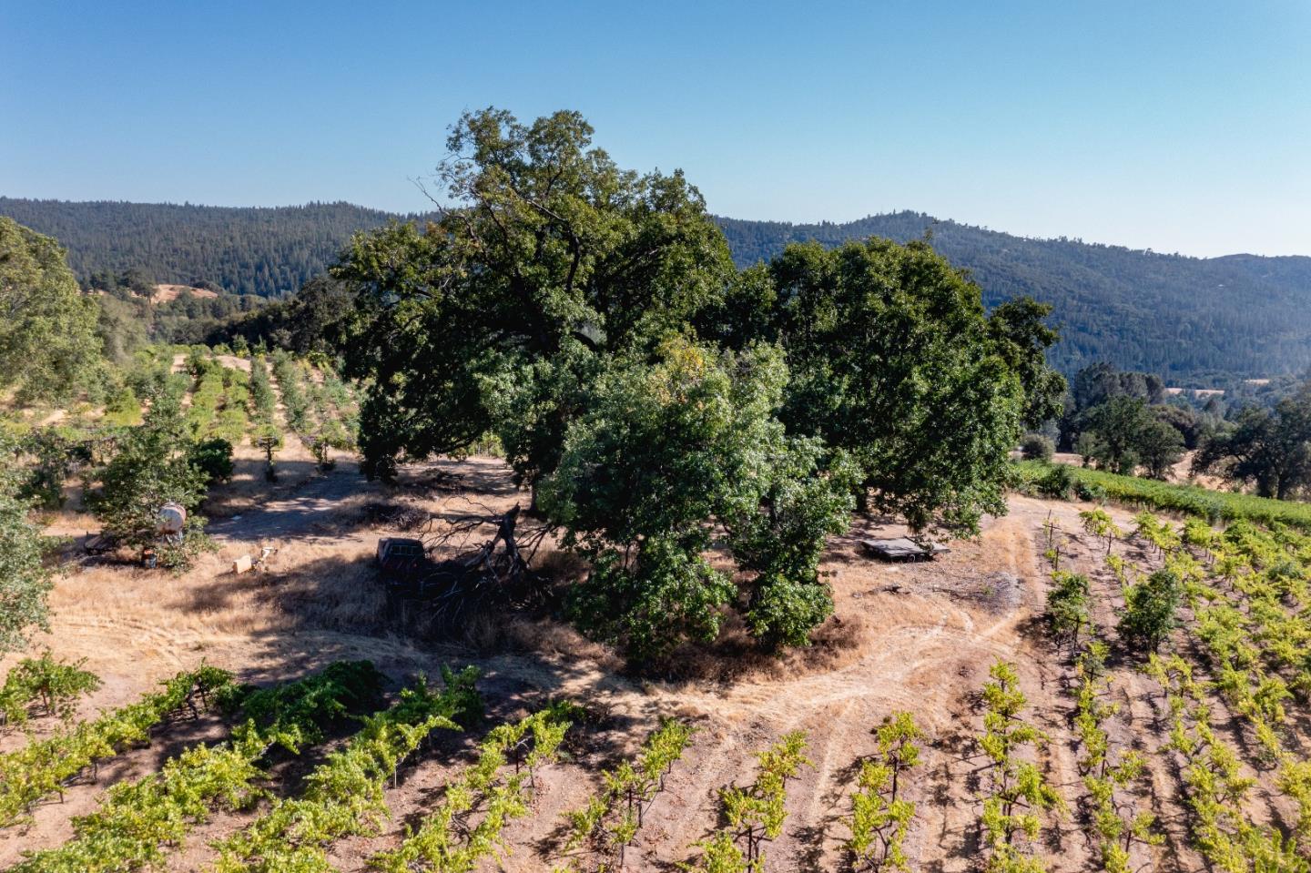 5200 Butte Creek Road, SOMERSET, California 95684, ,Lots And Land,For Sale,Butte Creek Road,40970962