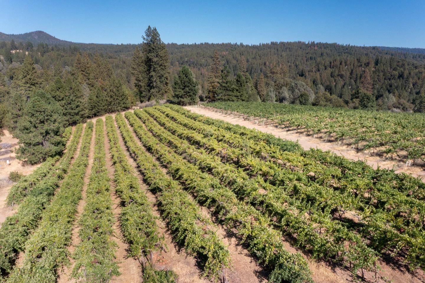 5200 Butte Creek Road, SOMERSET, California 95684, ,Lots And Land,For Sale,Butte Creek Road,40970962