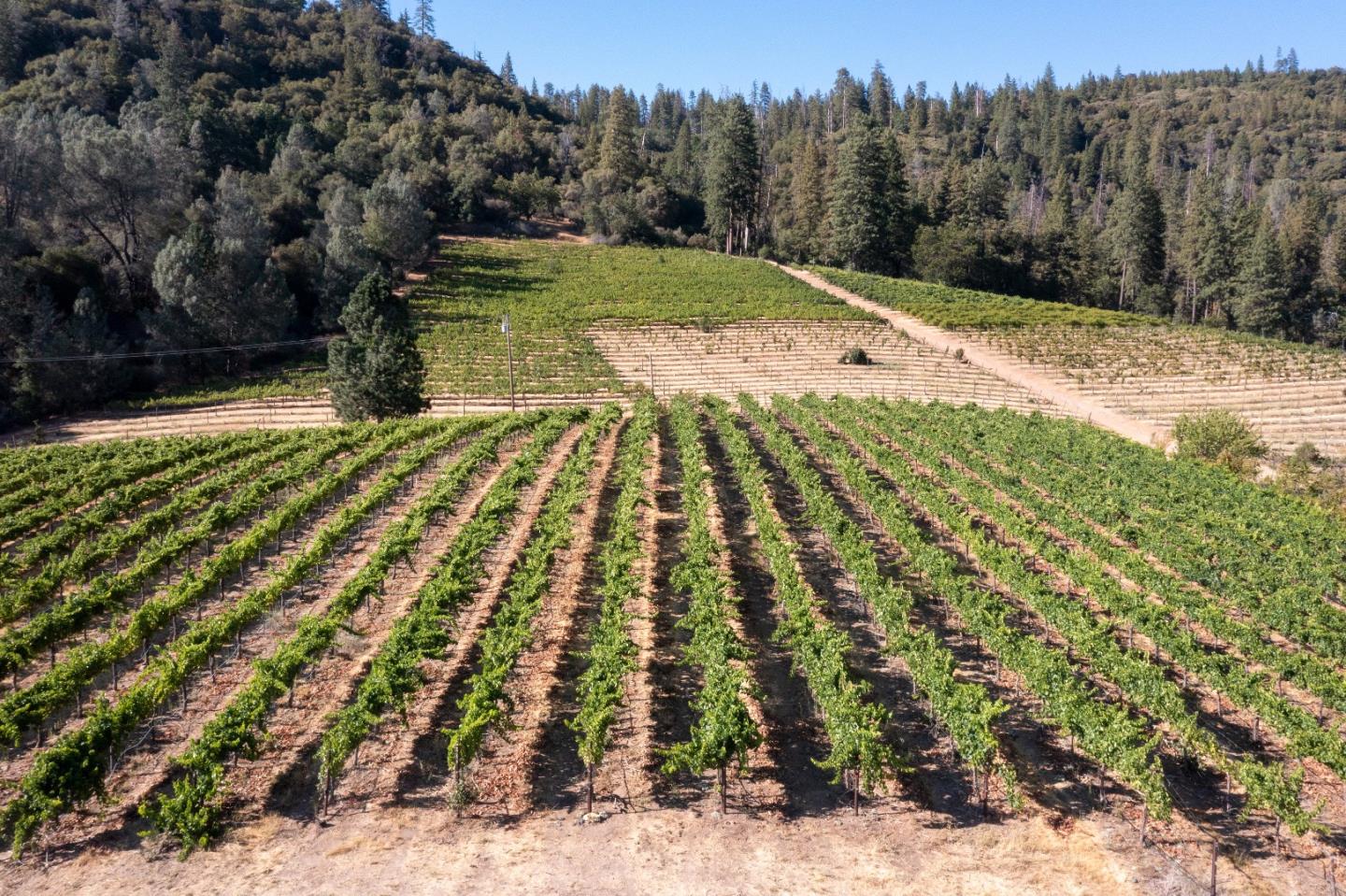 5200 Butte Creek Road, SOMERSET, California 95684, ,Lots And Land,For Sale,Butte Creek Road,40970962