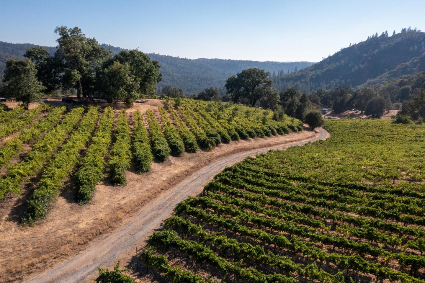 5200 Butte Creek Road, SOMERSET, California 95684, ,Lots And Land,For Sale,Butte Creek Road,40970962