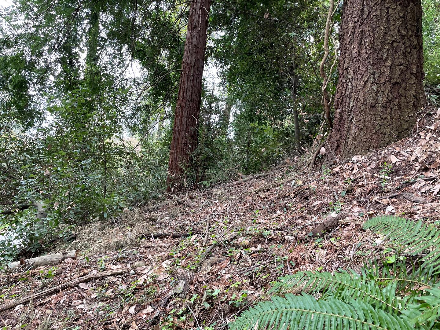 0 Santa Ana Road, LOS GATOS, California 95033, ,Lots And Land,For Sale,Santa Ana Road,40965561